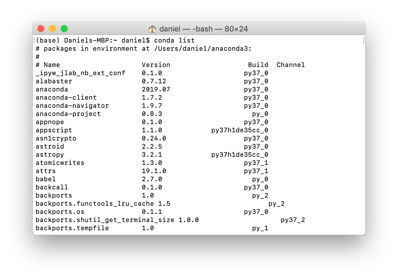 output of `conda list` command