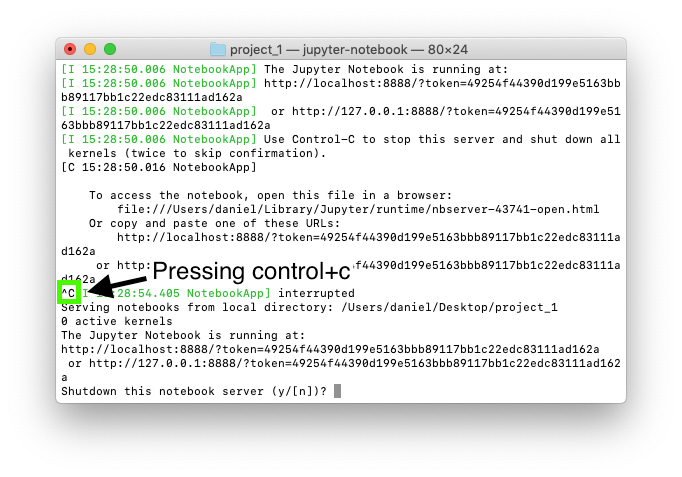 stopping a Jupyter Notebook in the terminal