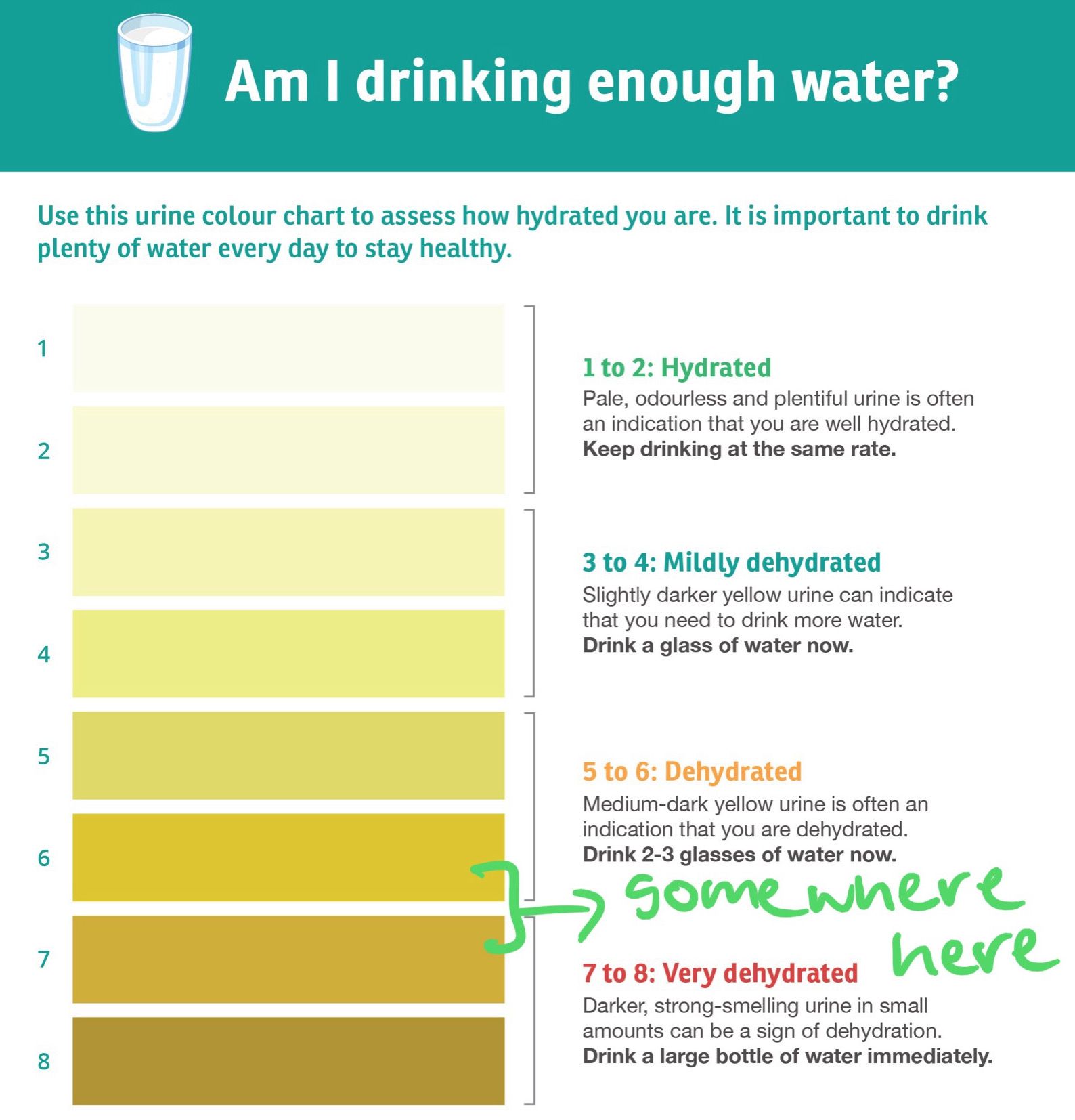 chart of different urine colours showing from 1 (hydrated) to 8, a darker colour (very dehydrated), my urine during the 3 day fast in the mornings was somewhere between 6 and 7