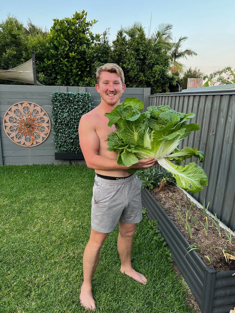 Man standing holding a lettuce on a patch of grass next to a vegetable garden