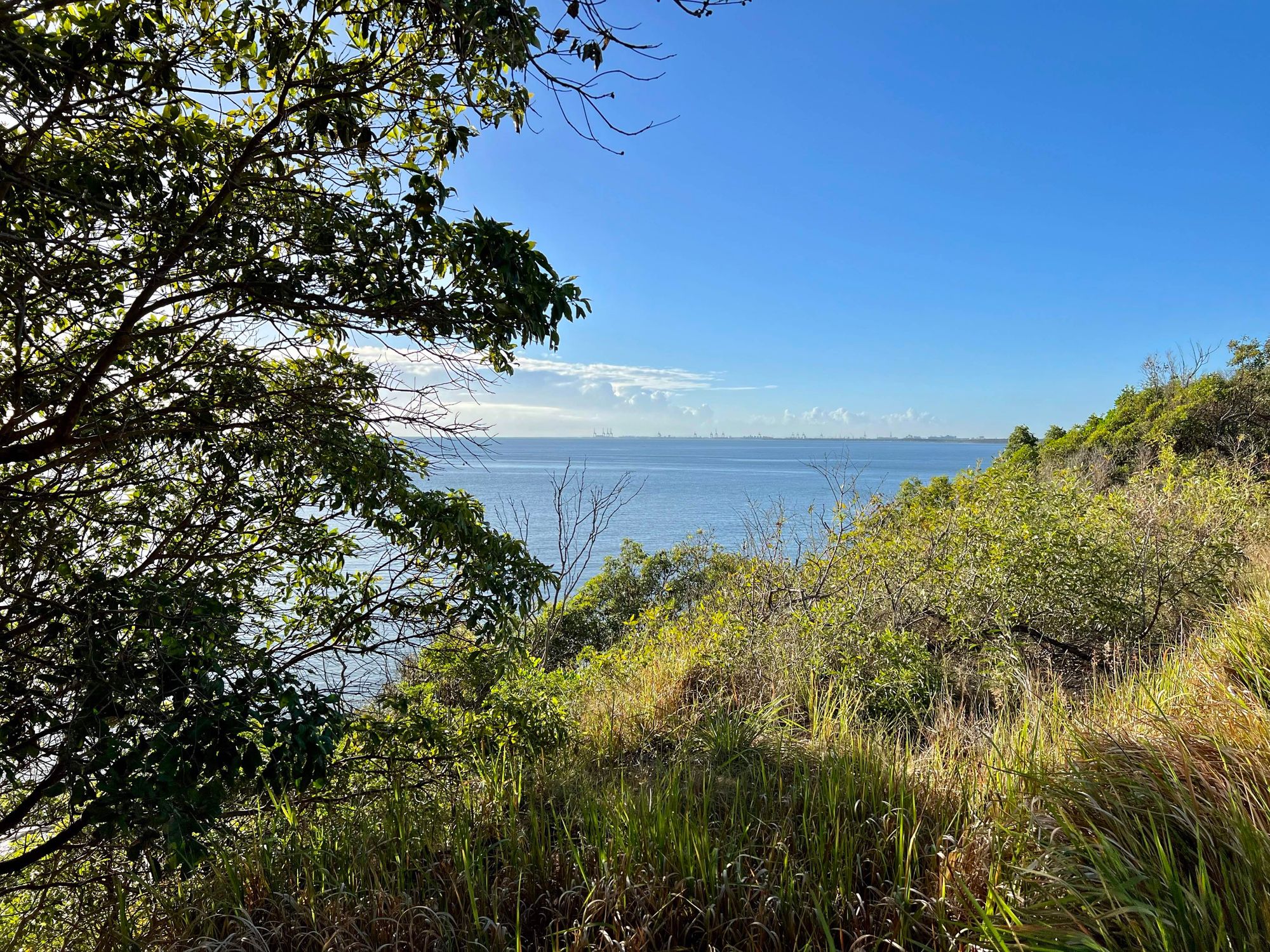 photo of landscape with ocean in middle ground, blue sky up top, bushes in foreground
