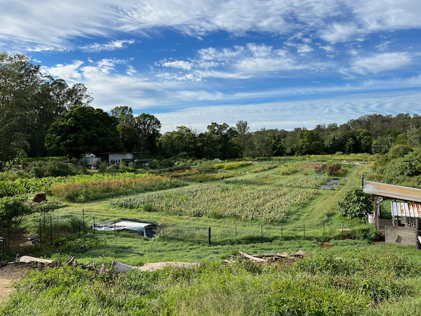 My first day on a farm