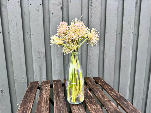 A glass vase of garlic flowers on a wooden table with a grey wooden fence in the background